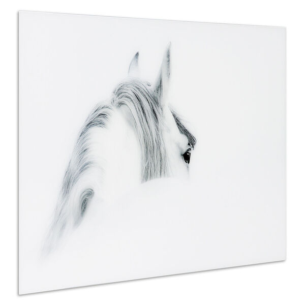 Blanco Mare Horse Frameless Free Floating Tempered Glass Graphic Wall Art, image 3