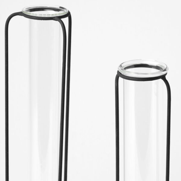 Beeker Clear and Black Test Tube Vase, Set of Three, image 3