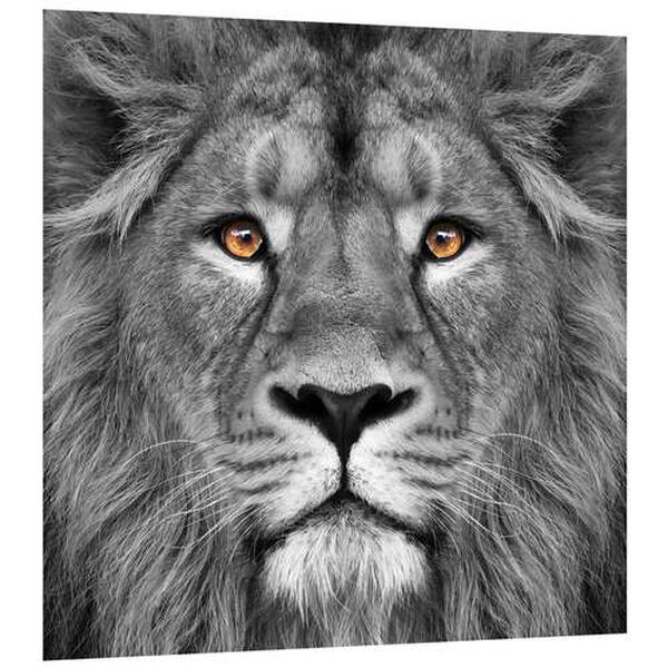 King of the Jungle Lion Frameless Free Floating Tempered Glass Graphic Wall Art, image 2