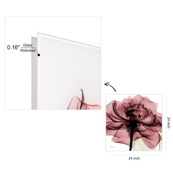 Chianti Rose II Frameless Free Floating Tempered Glass Graphic Wall Art, image 4