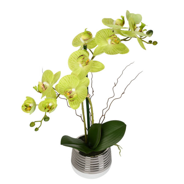 Green Real Touch Phalaenopsis in Metal Pot, image 2