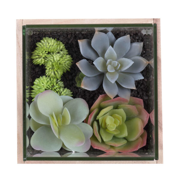 Green Assorted Succulents in Glass and Wood, image 2