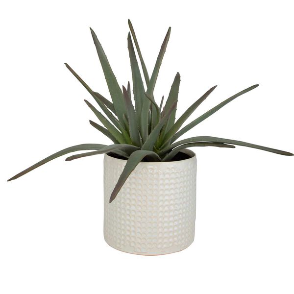 Taos Ivory Beige Aloe Centerpiece In Pot, image 3