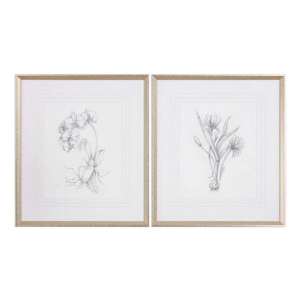 Botanical Sketches Framed Prints, Set of 2, image 1