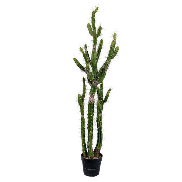 Green 56-Inch Cactus with Black Pot, image 1