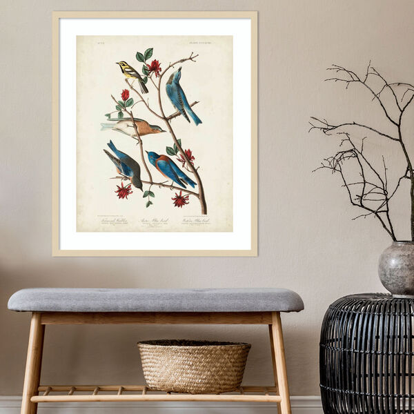 John James Audubon Brown Townsends Warbler 28 x 33 Inch Wall Art, image 4