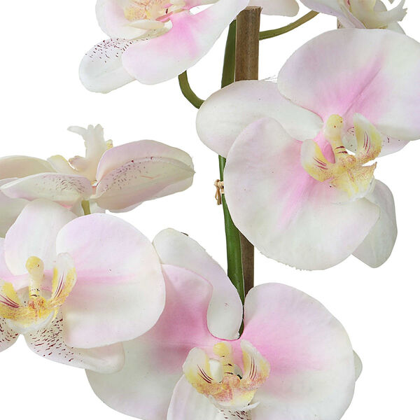 Blush Pink and White Orchids with Glass Container, image 3