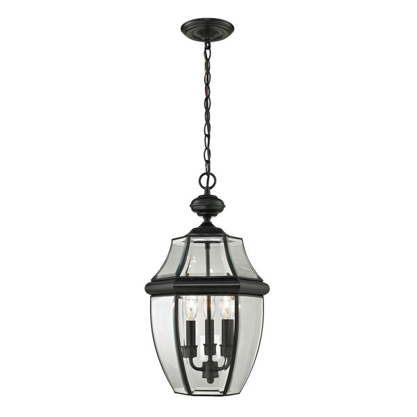 Ashford Black Three-Light Large Outdoor Hanging Lantern, image 1