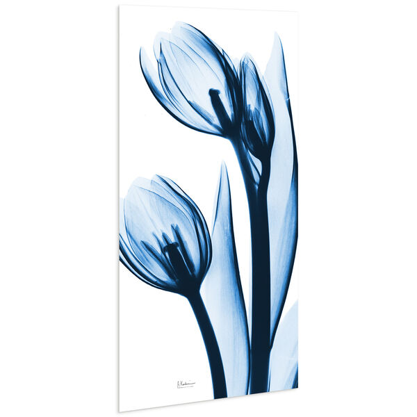 Two Blue Tulips Frameless Free Floating Tempered Glass Graphic Wall Art, image 3