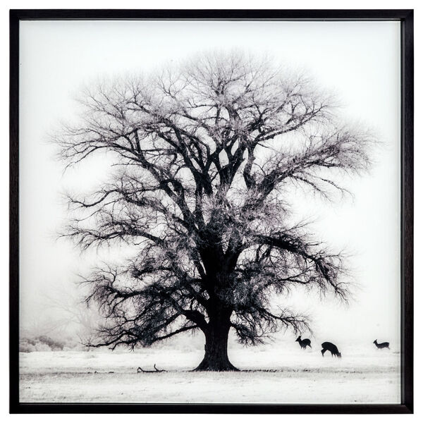 Black and White 32-Inch Winters Morning Fog II Landscape, image 1