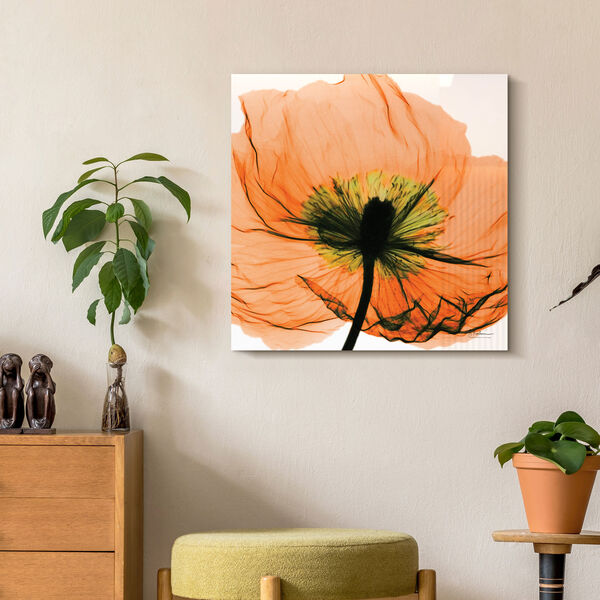 Poppy Orange Frameless Free Floating Tempered Glass Graphic Wall Art, image 1
