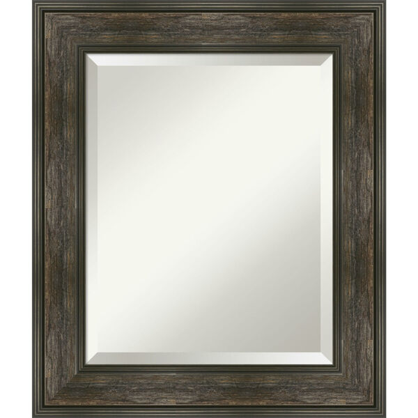 Rail Brown 22W X 26H-Inch Bathroom Vanity Wall Mirror, image 1