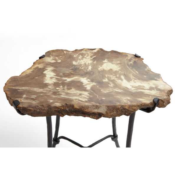 Petrified Brown Side Table, image 2