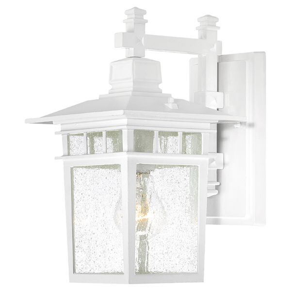 Cove Neck White Finish One Light Outdoor Wall Sconce with Clear Seeded Glass, image 1