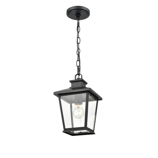 Bellmon Powder Coat Black One-Light Outdoor Hanging Lantern, image 1