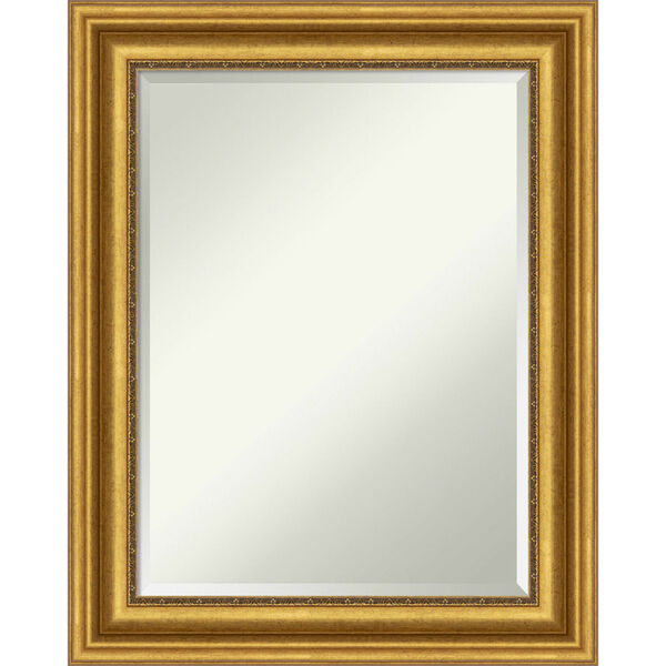 Parlor Gold 24W X 30H-Inch Bathroom Vanity Wall Mirror, image 1