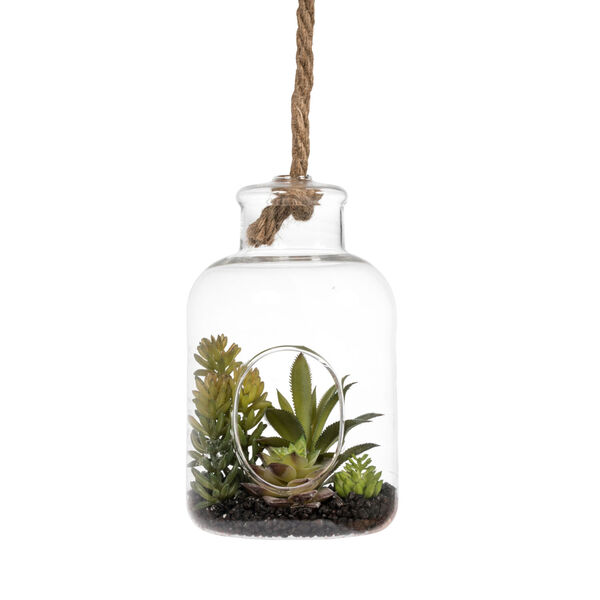 Green Assorted Succulents in Glass Jar, image 1