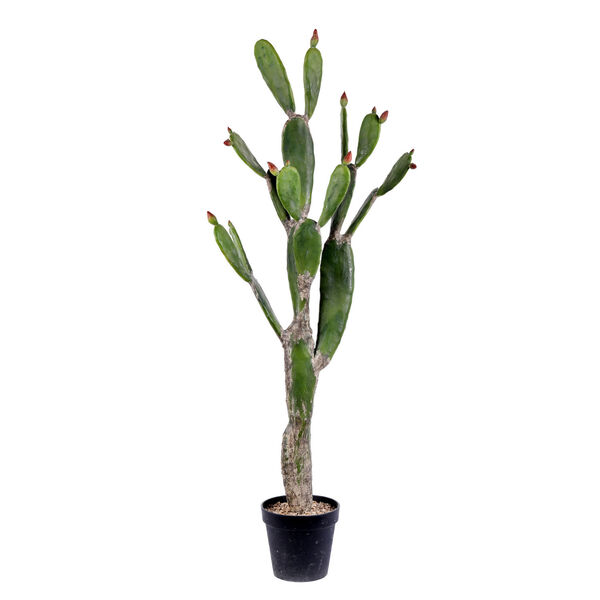 Green 57-Inch Cactus with Black Pot, image 1