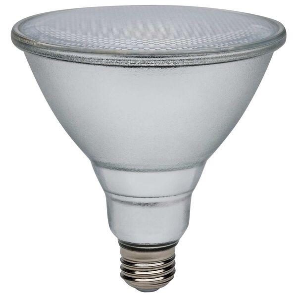 Silver 3000K PAR38 LED Bulb, image 1
