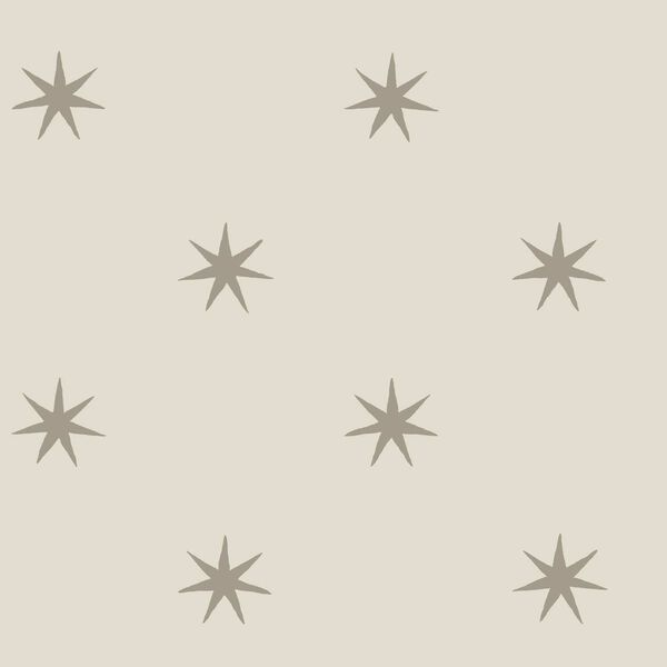 Star Splendor Wicker and Metallic Glint Peel and Stick Wallpaper, image 2