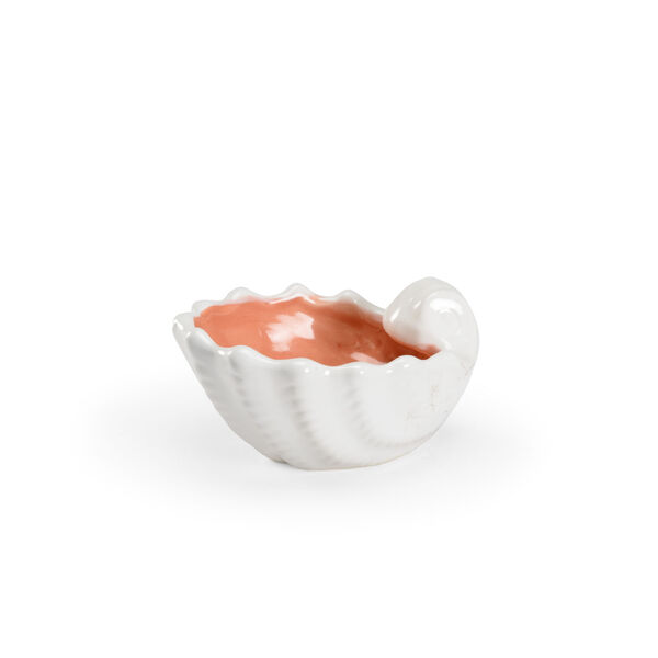 White and Orange 6-Inch Sanibel Shell, image 1