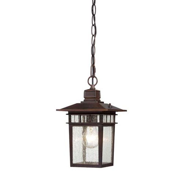 Cove Neck Rustic Bronze Finish One Light Outdoor Hanging Pendant with Clear Seeded Glass, image 1