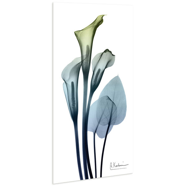 Calia Lily Frameless Free Floating Tempered Glass Graphic Wall Art, image 3