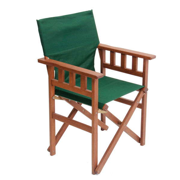 Pangean Green Campaign Chair, image 1