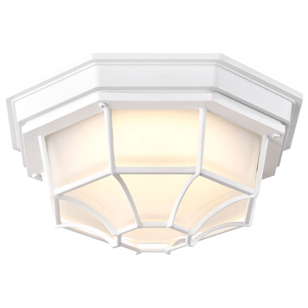 White LED Spider Cage Outdoor Wall Mount with Frosted Glass, image 2