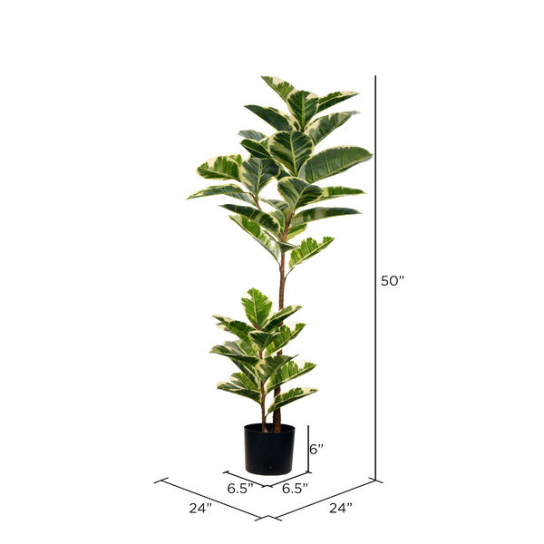 Green Potted Oak Tree with 46 Leaves, image 2