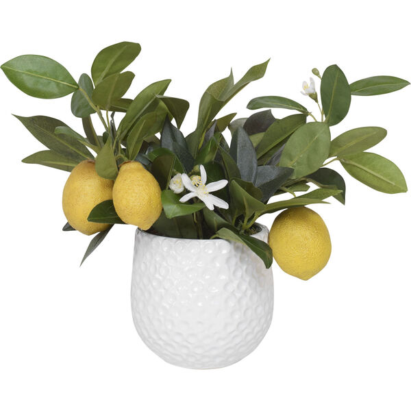 Positano Lemon in White Pot, image 1