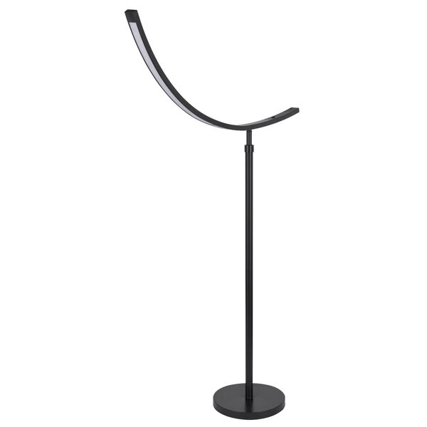 Dark Bronze LED Adjustable Floor Lamp, image 5
