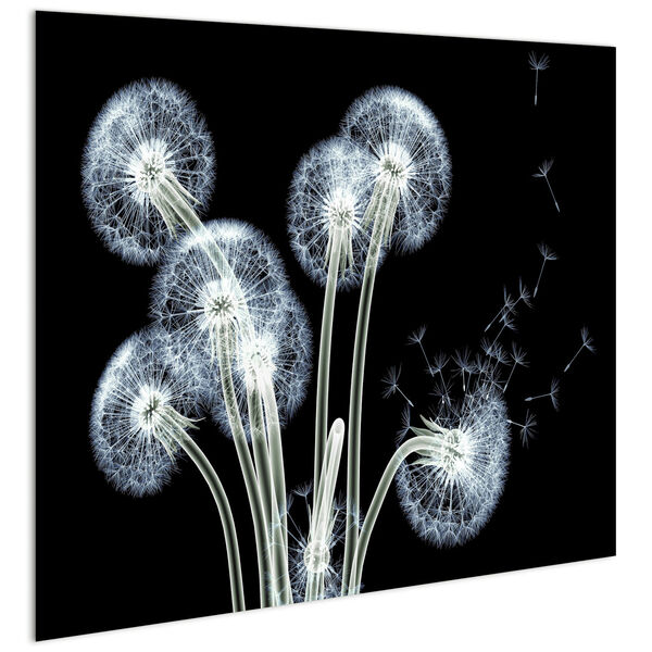 Dancing Dandelions Frameless Free Floating Tempered Glass Graphic Wall Art, image 3