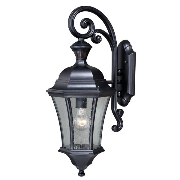 Aberdeen Dualux Shiny Black 10-Inch One-Light Outdoor Wall Light, image 1