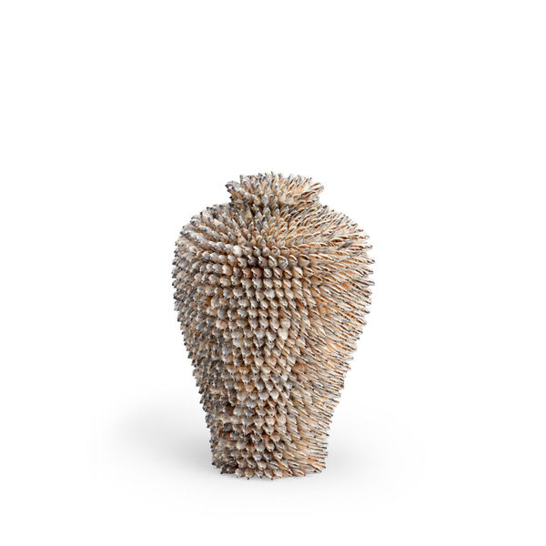 Strombus Natural Shell Vase, image 1