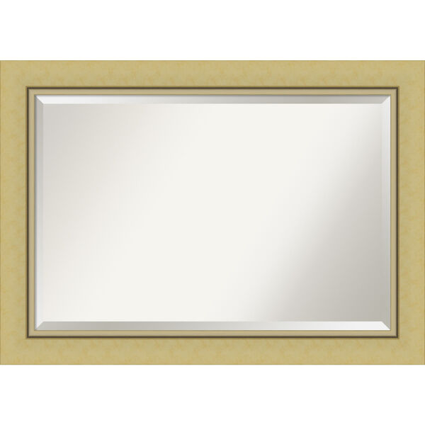 Landon Gold 42W X 30H-Inch Bathroom Vanity Wall Mirror, image 1