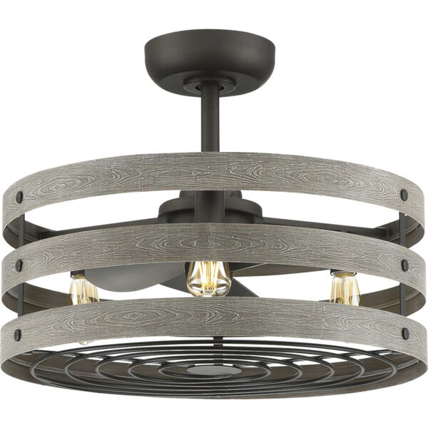 P250012-143-22 Gulliver Graphite 24-Inch Three-Light LED Ceiling Fan, image 1