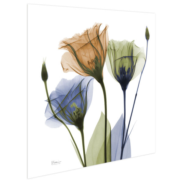 Gentian Buddies Frameless Free Floating Tempered Glass Graphic Wall Art, image 3