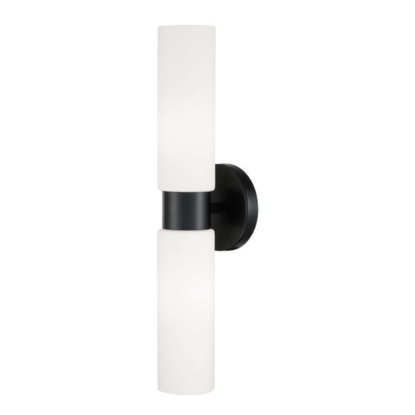 Theo Matte Black Two-Light Dual Linear Wall Sconce, image 1
