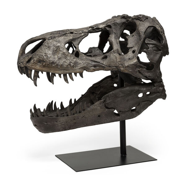 Jurassic Brown Resin Replica Tyrannosaurus Skull Decorative Object, image 1