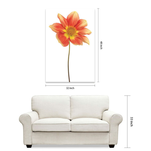 Red Yellow Dahlia on White Frameless Free Floating Tempered Glass Graphic Wall Art, image 6