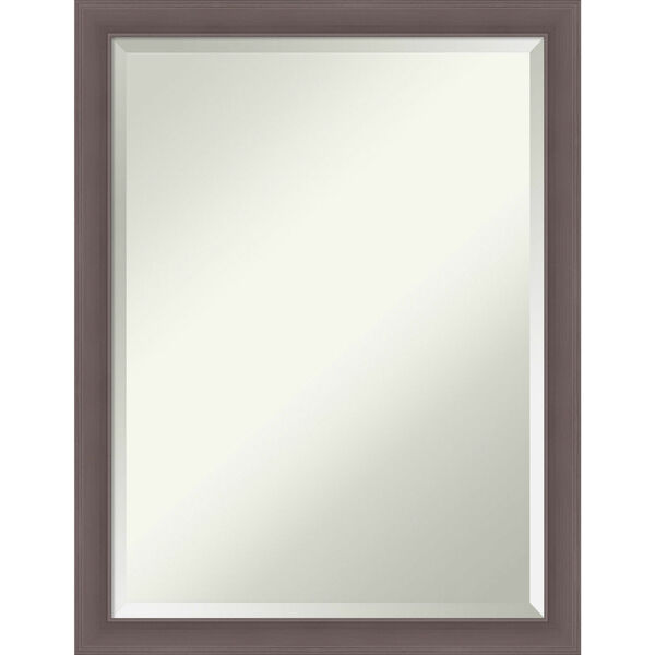 Urban Pewter 21W X 27H-Inch Bathroom Vanity Wall Mirror, image 1