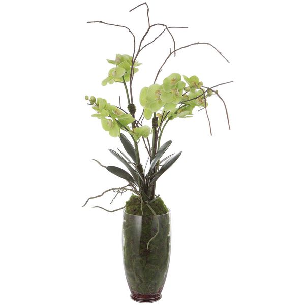Valdive Green Orchid Tabletop Décor, image 1
