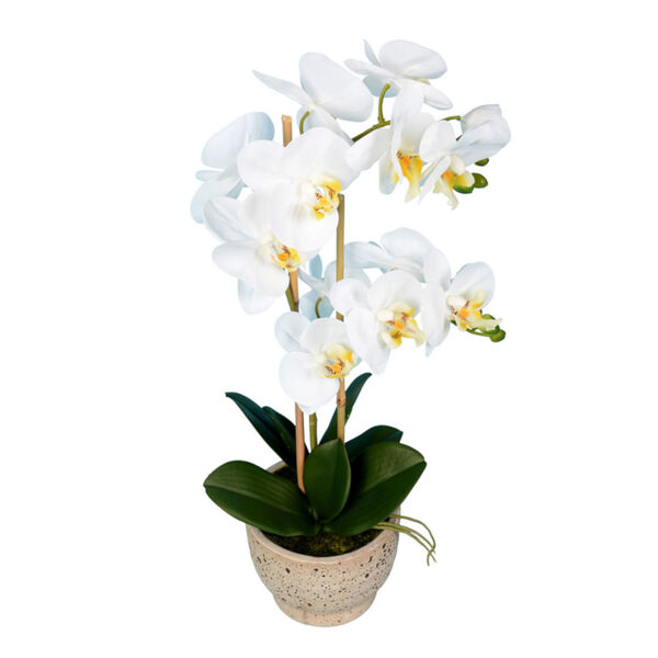 White Real Touch Phalaenopsis in Pot Real Touch, image 2