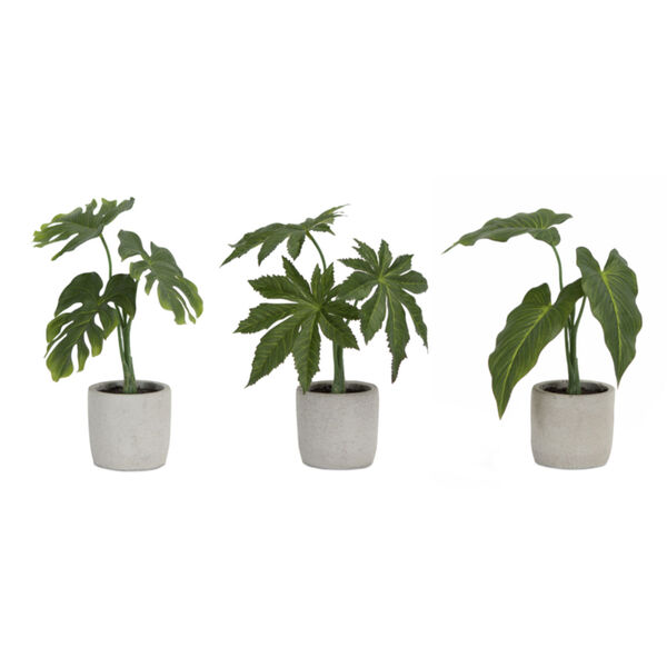 Green and Brown Potted Foliage, Set of 6, image 1