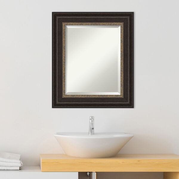 Paragon Bronze 23W X 27H-Inch Bathroom Vanity Wall Mirror, image 3
