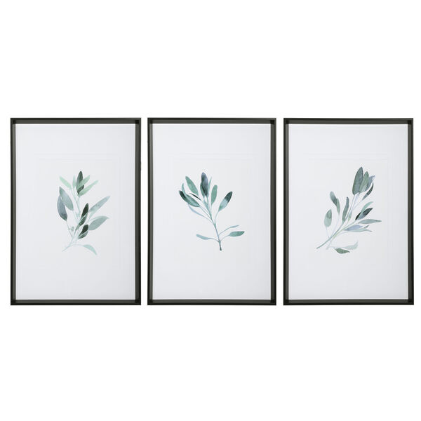 Simple Sage Black and Green Watercolor Botanical Prints, Set of 3, image 2