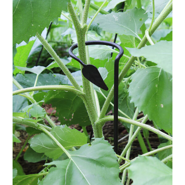 Black Powdercoat Plant Stake, Set of Six, image 6