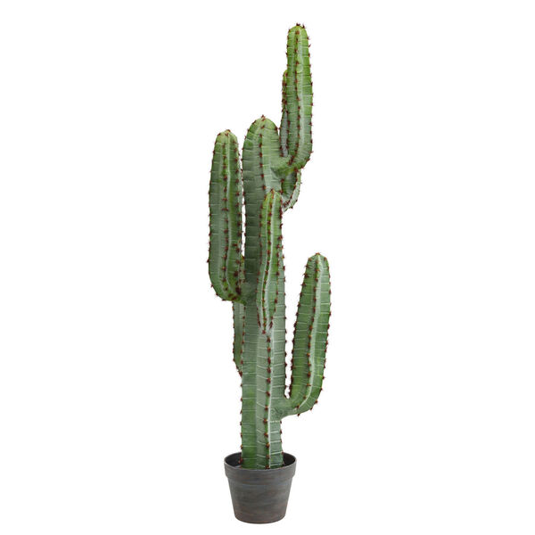 Green Fwithger Cactus with Gray Pot, image 1