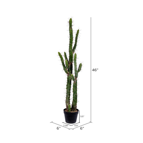 Green 46-Inch Cactus with Black Pot, image 2